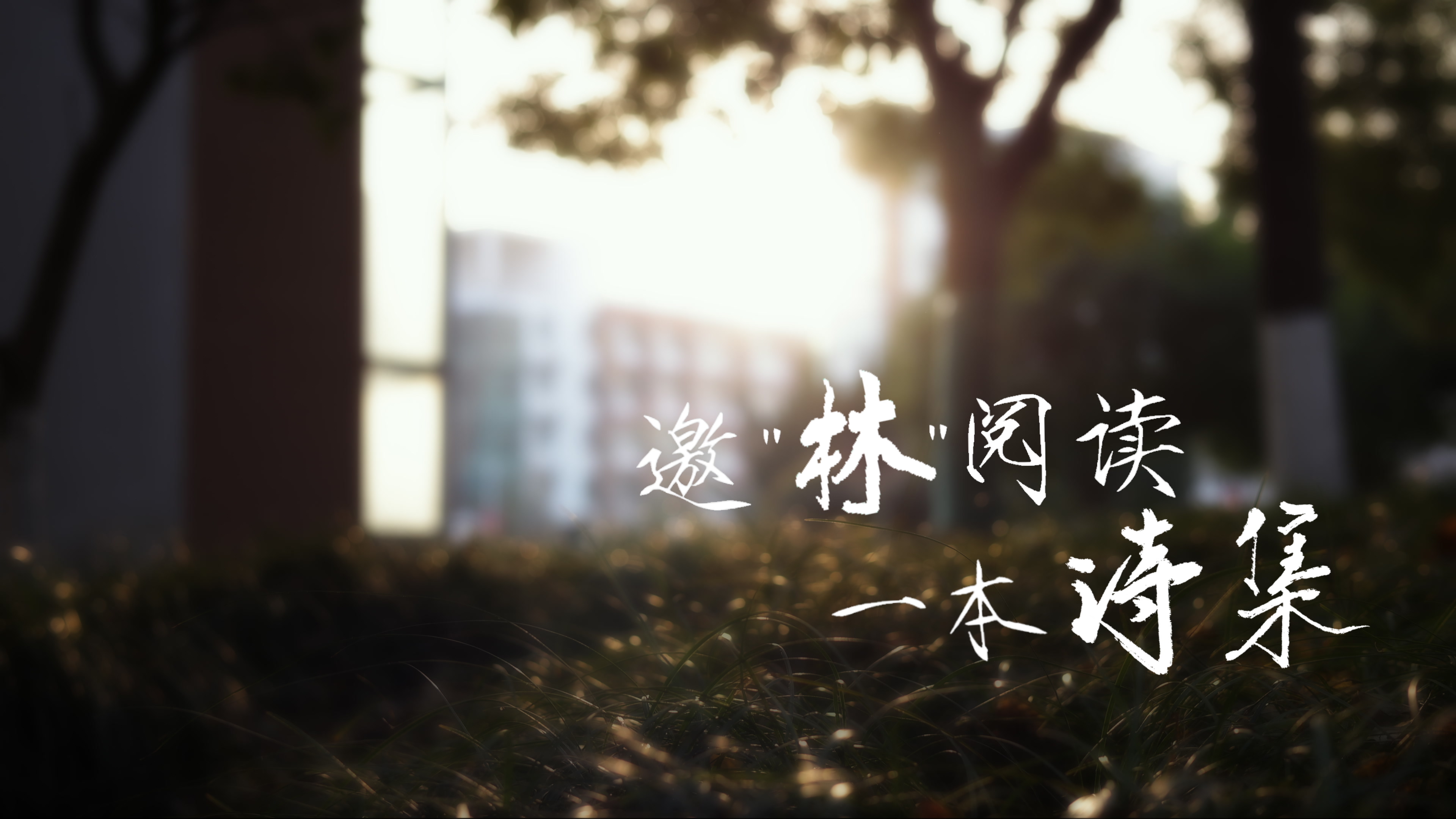 【南京林业大学】邀“林”阅读一本诗集