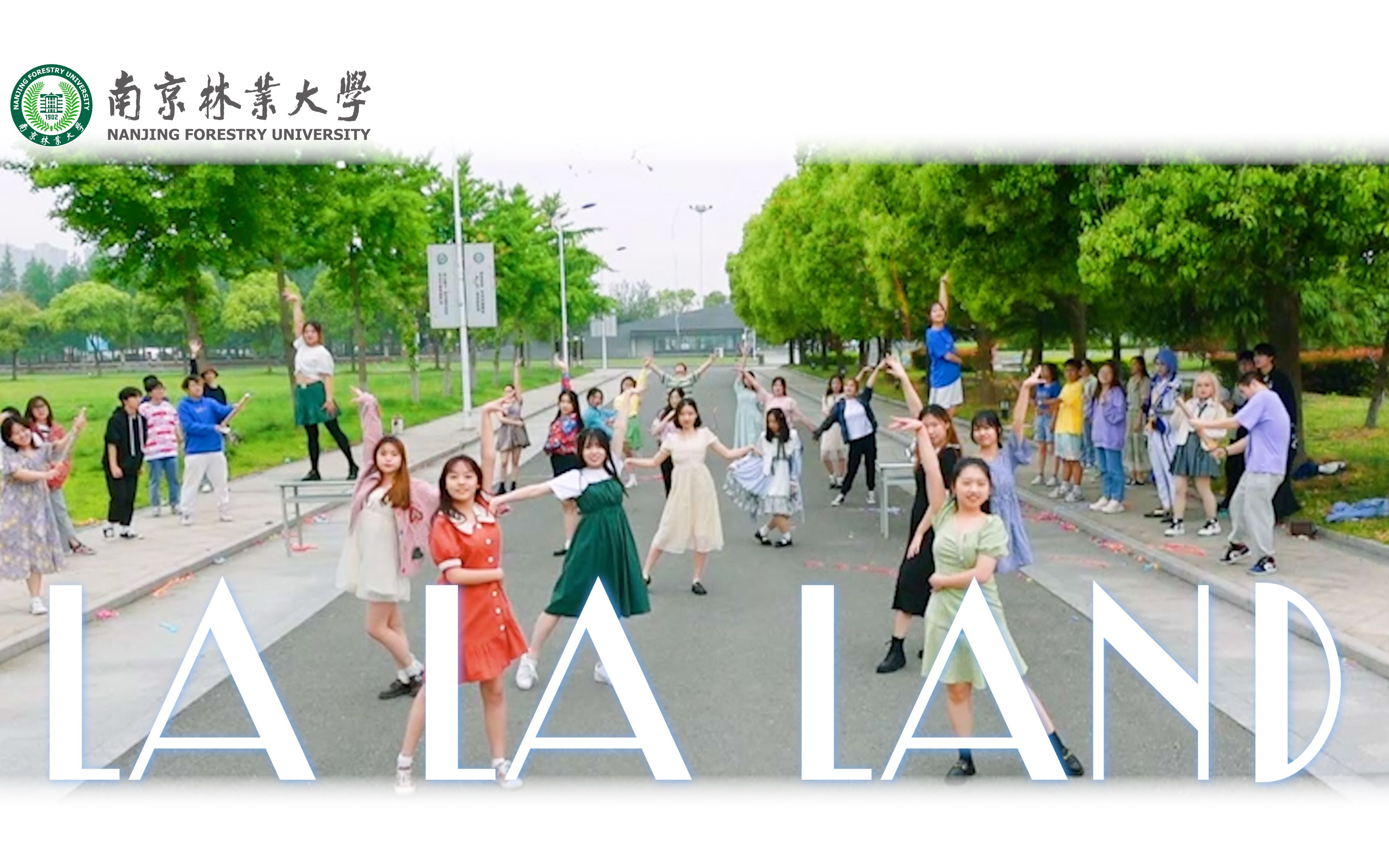 0成本大制作？耗时36天，我们南林拍出了爱乐之城的青春版！！