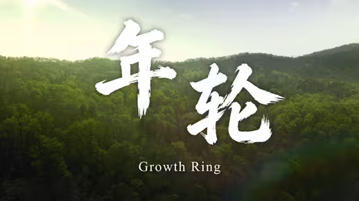 时间不语，年轮有声——南京林业大学2026招生宣传片《年轮》